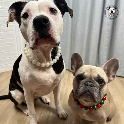 POPNCO ELF ON A SHElf beaded Beaded Pet Collar from the Winter, Christmas Holiday Collection featuring alternating green and red acrylic and resin beads on aircraft grade Stainless steel wire.