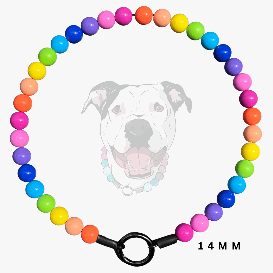 A 14mm beaded dog collar made of rainbow-colored round beads with a black metal clasp, shown against a light gray background with a faint dog graphic and the text '14 MM'.
