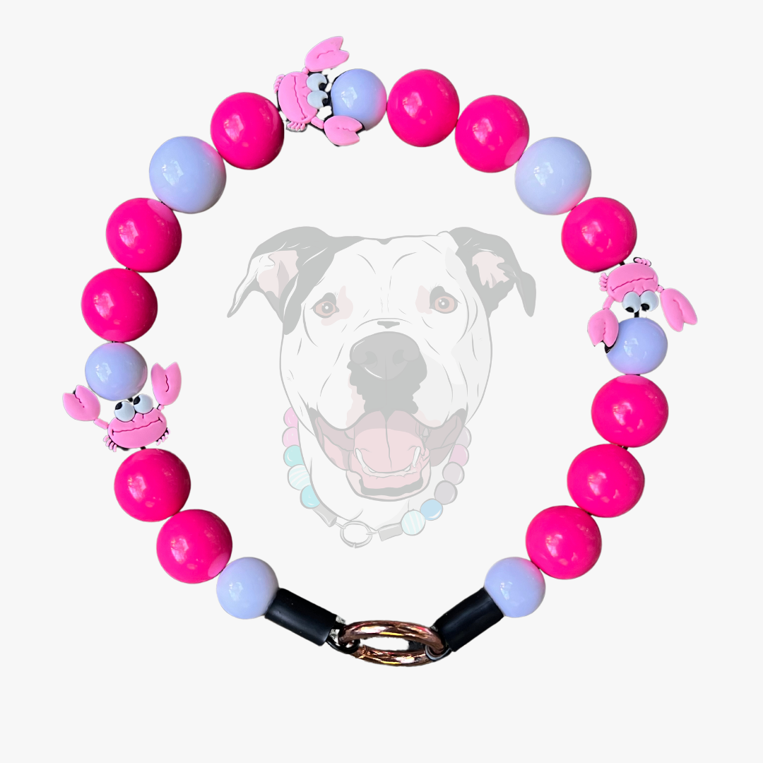 Colorful beaded dog collar with small crab silicone beads on aircraft grade stainless steel wire laying on a white background