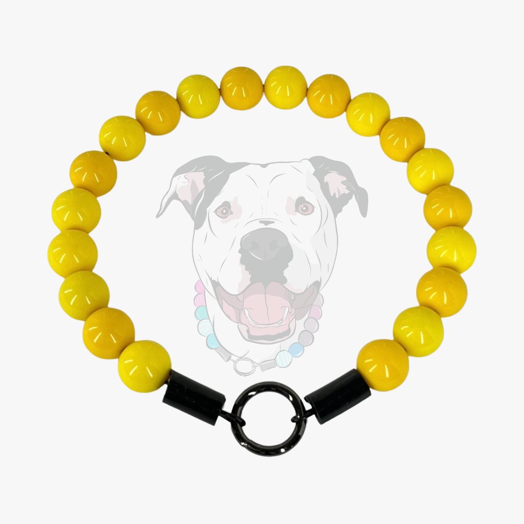 Yellow beaded pet collar with a black clasp on a white background