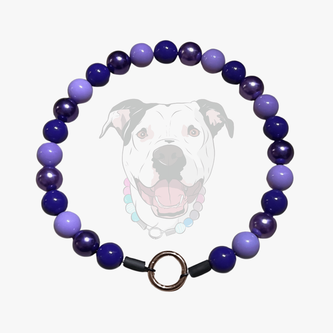 Purple Beaded pet Collar from POPNCO Made with aircraft grade stainless steel wire called veronica laying flat on a white background with a dogs face in the middle. 
