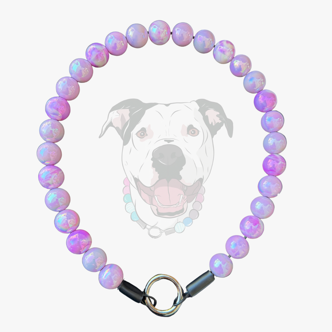 A beaded collar made of iridescent lavender and pink round beads with a silver metal ring clasp, shown against a light gray background with a faint dog graphic behind it.
