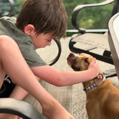 A young boy sitting on an outdoor patio chair gently pets a brown dog wearing a purple patterned collar. The scene is set on a paved patio with patio chairs and a blurred green garden background.