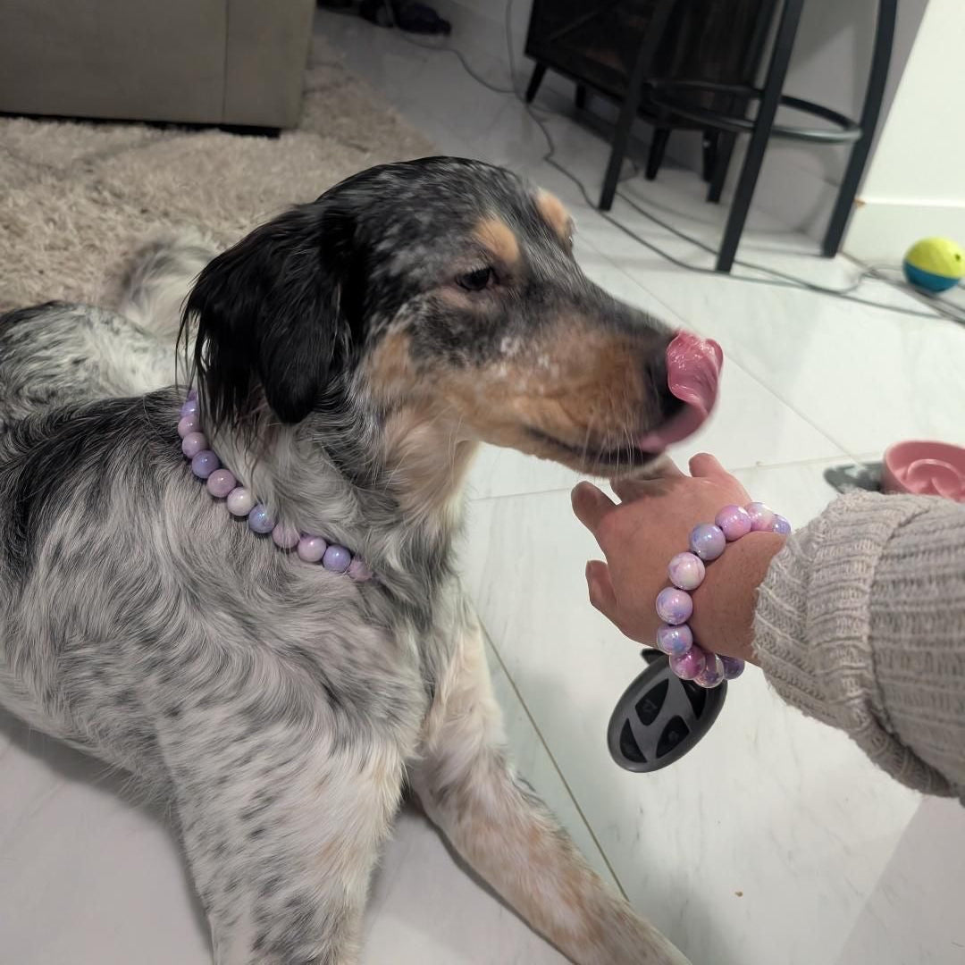 A black and white spotted dog licks a person's hand wearing a matching lavender beaded bracelet, while the person also wears a matching lavender beaded bracelet and sweater. The dog is wearing a lavender beaded collar.