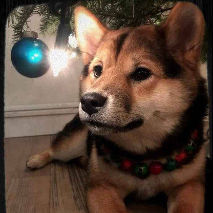 POPNCO ELF ON A SHElf beaded Beaded Pet Collar from the Winter, Christmas Holiday Collection featuring alternating green and red acrylic and resin beads on aircraft grade Stainless steel wire.