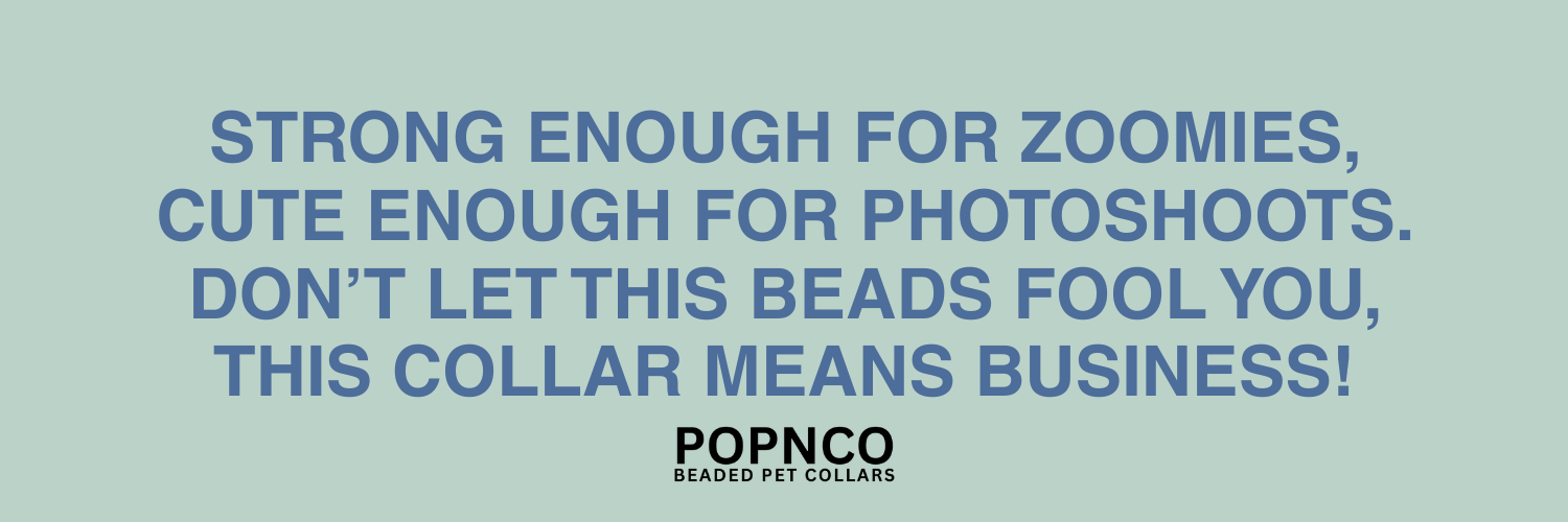 Promotional text for POPNCO pet collars on a light blue background it reads strong enough for zoomies, cute enough for photoshoots. don't let this beads fool you this collar means business!