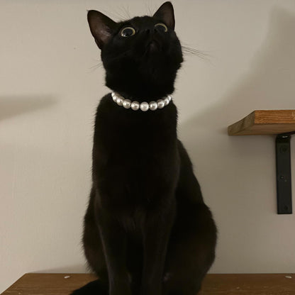 Black cat wearing a pearl necklace sitting on a wooden shelf against a white wall.