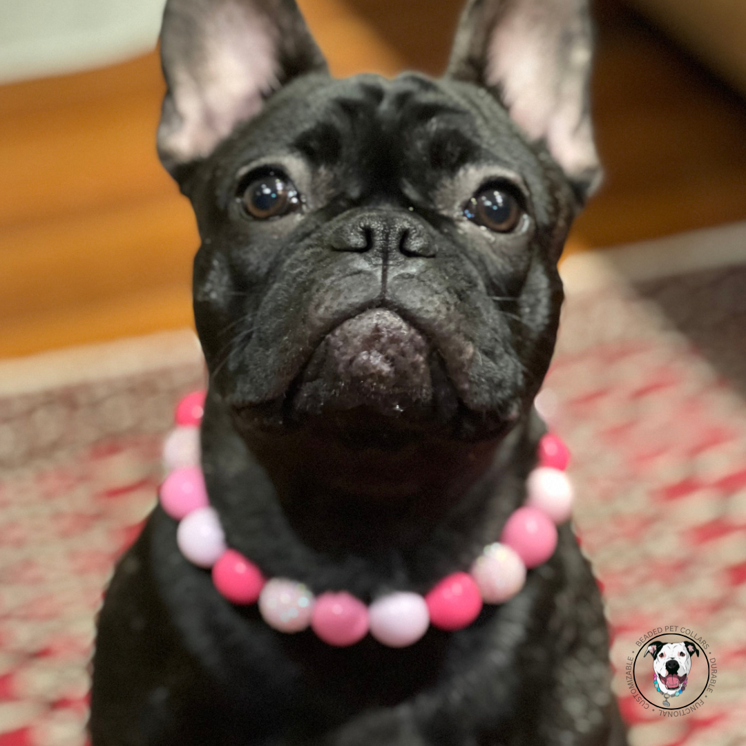 Black Frenchie - The Penelope - Slip on Beaded dog Collar - Made with alternating light and dark pink acrylic beads - aircraft stainless steel and a o ring - Durable - handmade - customizable  POPNCO beaded collar, Beaded dog collar, Breathable dog collar, cat collar, Comfortable Dog Collar, dog collar, Durable dog collar, Easy to clean dog collar, fashion collar, Pet accessories, pet collar, popnco, Popnco dog collar, slip on collar, Slip on dog collar, Stylish dog collar
