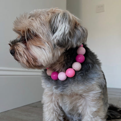 Dog wearing a colorful bead collar indoors POPNCO beaded collar, Beaded dog collar, Breathable dog collar, cat collar, Comfortable Dog Collar, dog collar, Durable dog collar, Easy to clean dog collar, fashion collar, Pet accessories, pet collar, popnco, Popnco dog collar, slip on collar, Slip on dog collar, Stylish dog collar