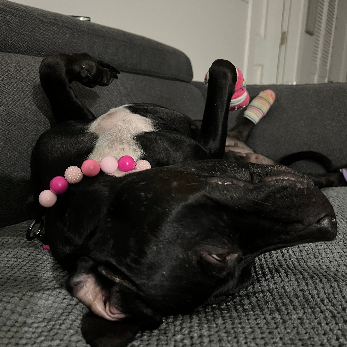 POPNCO beaded collar, Beaded dog collar, Breathable dog collar, cat collar, Comfortable Dog Collar, dog collar, Durable dog collar, Easy to clean dog collar, fashion collar, Pet accessories, pet collar, popnco, Popnco dog collar, slip on collar, Slip on dog collar, Stylish dog collar
