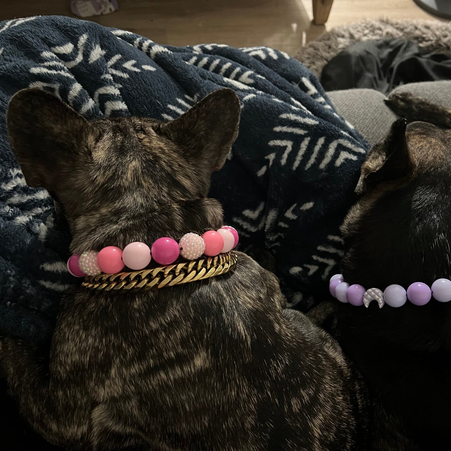 POPNCO beaded collar, Beaded dog collar, Breathable dog collar, cat collar, Comfortable Dog Collar, dog collar, Durable dog collar, Easy to clean dog collar, fashion collar, Pet accessories, pet collar, popnco, Popnco dog collar, slip on collar, Slip on dog collar, Stylish dog collar