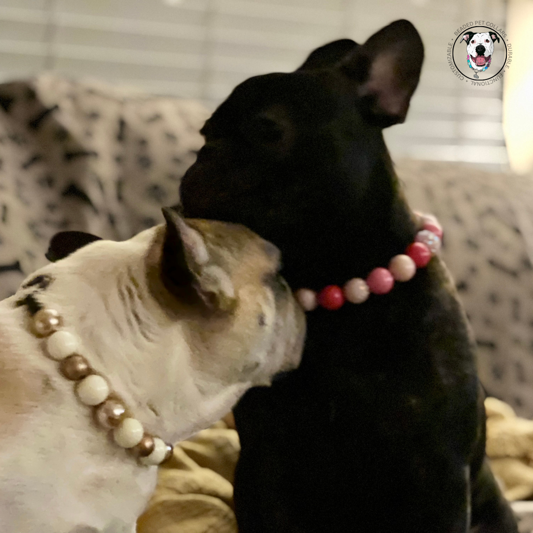 Frenchies - The Penelope - Slip on Beaded dog Collar - Made with alternating light and dark pink acrylic beads - aircraft stainless steel and a o ring - Durable - handmade - customizable  POPNCO beaded collar, Beaded dog collar, Breathable dog collar, cat collar, Comfortable Dog Collar, dog collar, Durable dog collar, Easy to clean dog collar, fashion collar, Pet accessories, pet collar, popnco, Popnco dog collar, slip on collar, Slip on dog collar, Stylish dog collar
