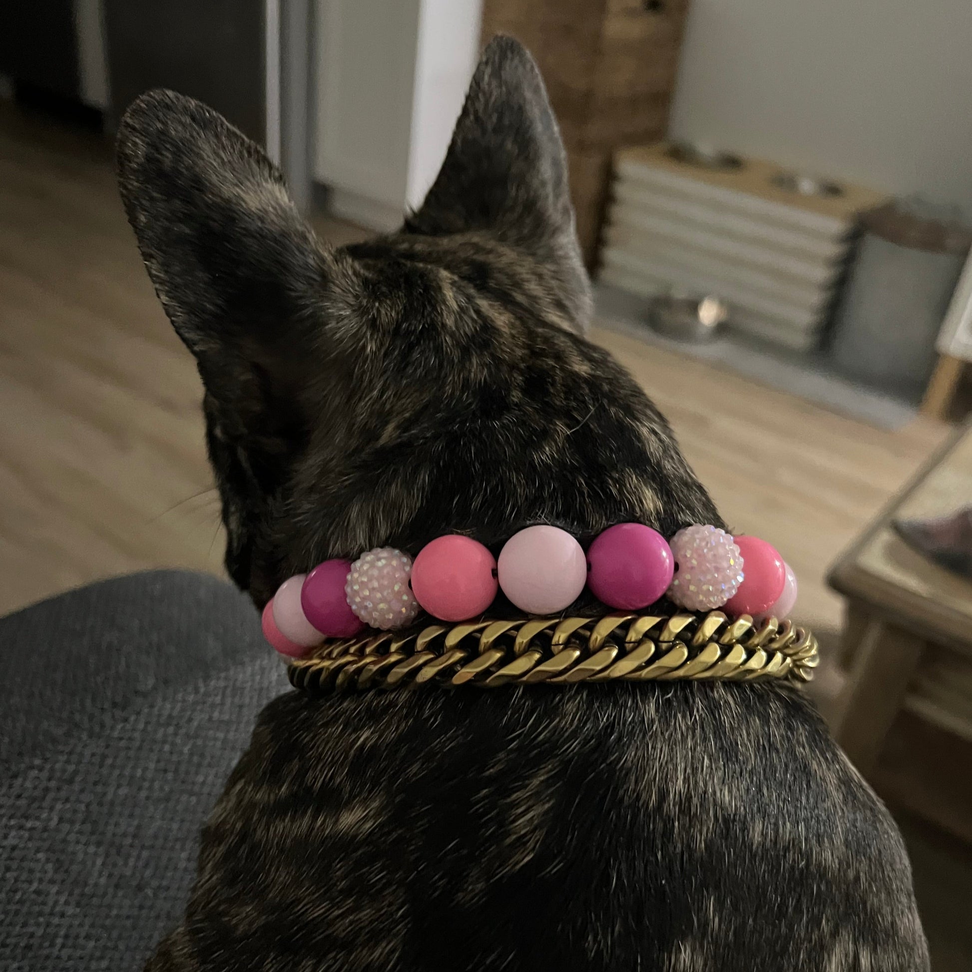 Frenchie - comfortable - The Penelope - Slip on Beaded dog Collar - Made with alternating light and dark pink acrylic beads - aircraft stainless steel and a o ring - Durable - handmade - customizable  POPNCO beaded collar, Beaded dog collar, Breathable dog collar, cat collar, Comfortable Dog Collar, dog collar, Durable dog collar, Easy to clean dog collar, fashion collar, Pet accessories, pet collar, popnco, Popnco dog collar, slip on collar, Slip on dog collar, Stylish dog collar