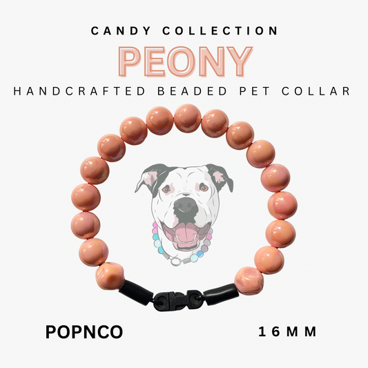 Candy Collection - PEONY