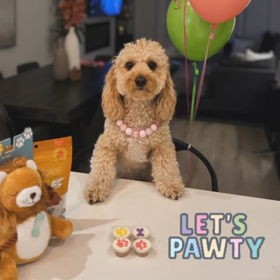 Dog sitting at a table with birthday balloons and 'Let's Pawty' text in a casual indoor setting.