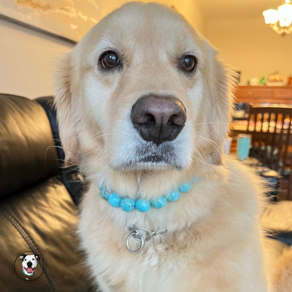 Golden retriever - The Poseidon - water collection - Slip on Beaded Pet Collar - Made with marbled blue acrylic  beads - aircraft stainless steel and a o ring - Durable - handmade - customizable 