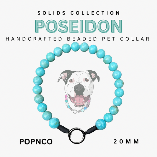 Handcrafted beaded pet collar with turquoise beads and a black strap, featuring a dog illustration on a white background.