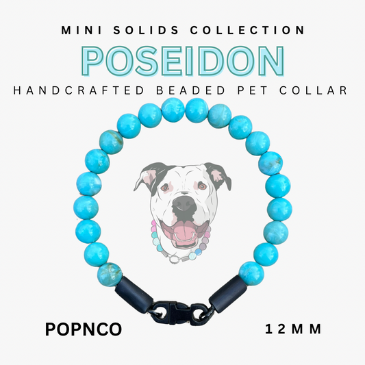 Mini POSEIDON