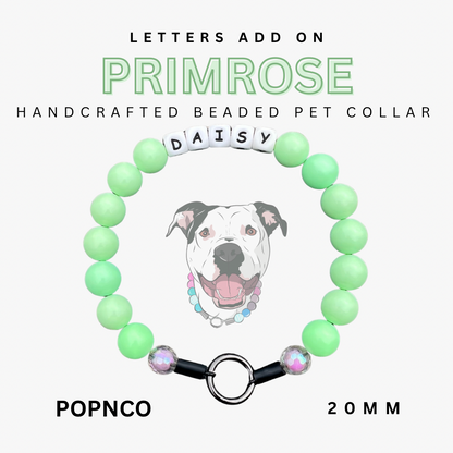 Handcrafted beaded pet collar with a name tag on a white background