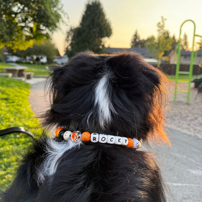 Dog with a 'Rocky' collar in a park setting POPNCO beaded collar, Beaded dog collar, Breathable dog collar, cat collar, Comfortable Dog Collar, dog collar, Durable dog collar, Easy to clean dog collar, fashion collar, Halloween Collar, handmade, Pet accessories, pet collar, Popnco dog collar, Seasonal Pet Collar, slip on collar, Slip on dog collar, Spooky Collar, Stylish dog collar