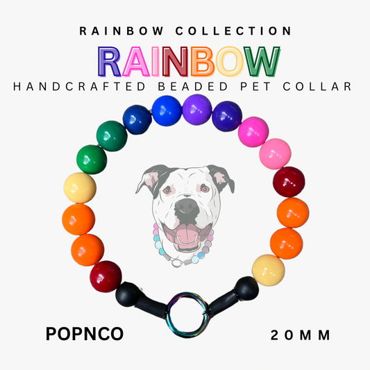 Rainbow-colored beaded pet collar with a dog illustration and branding on a white background