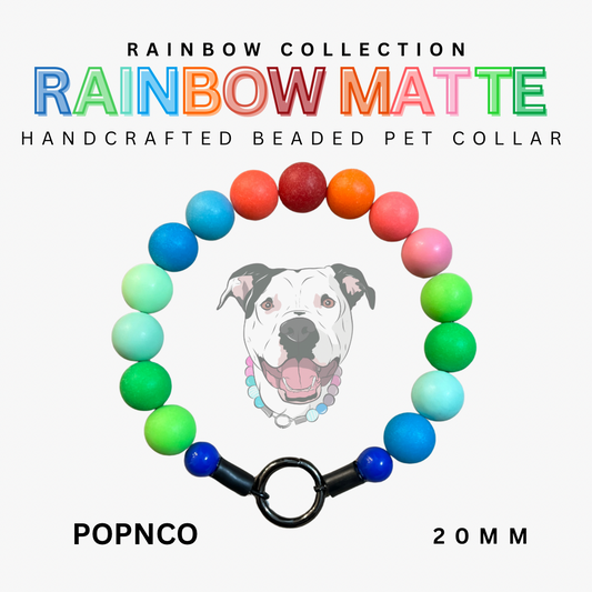Rainbow beaded pet collar with a dog illustration on a white background