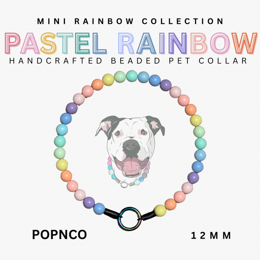 Pastel rainbow beaded pet collar with a dog illustration on a white background
