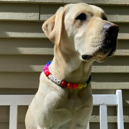 Dog wearing a colorful collar with beads and letters, sitting on a white bench. POPNCO