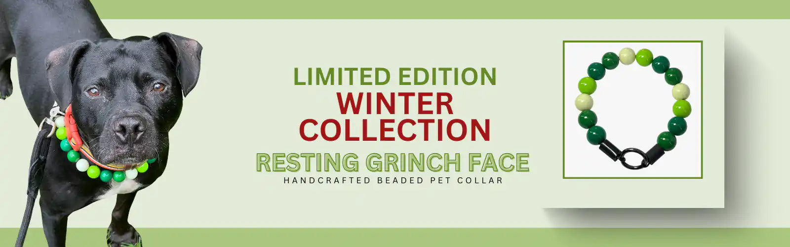 Dog wearing a green beaded collar with text about a limited edition winter collection and a product image on a green background.