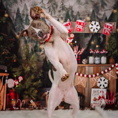 Dog standing on its hind legs in a festive Christmas setting with decorations and a fireplace. POPNCO