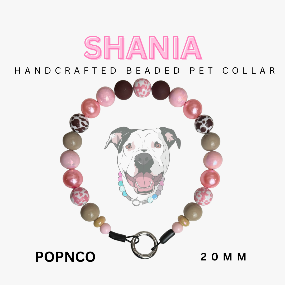 Handcrafted beaded pet collar with a dog illustration and product details on a white background