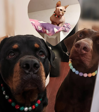 Two dogs wearing necklaces with a small dog in a heart-shaped mirror in the background. POPNCO beaded collar, Beaded dog collar, Breathable dog collar, cat collar, Comfortable Dog Collar, dog collar, Durable dog collar, Easy to clean dog collar, Easy to clean dog collars, fashion collar, Pet accessories, pet collar, popnco, Popnco dog collar, purple, slip on collar, Slip on dog collar, Stylish dog collar