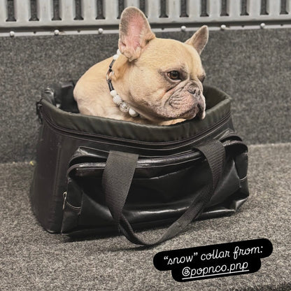Dog sitting inside a black bag on a textured surface with 'snow' collar branding. POPNCO
