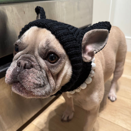 Dog standing inside with a white beaded collar and a bear knitted black hat 