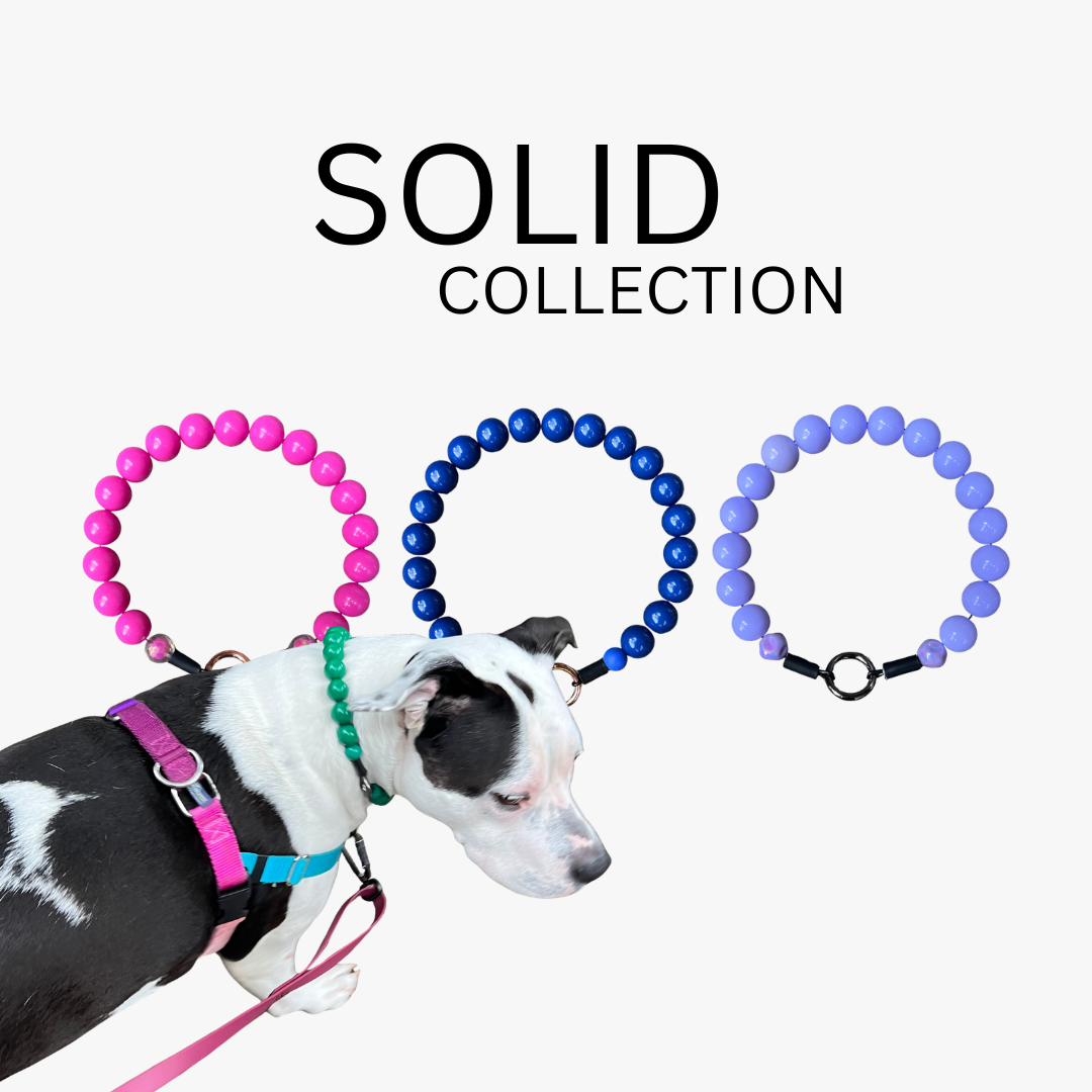 Black and white dog wearing Forrest beaded collar with 'SOLID COLLECTION' text above from POPNCO