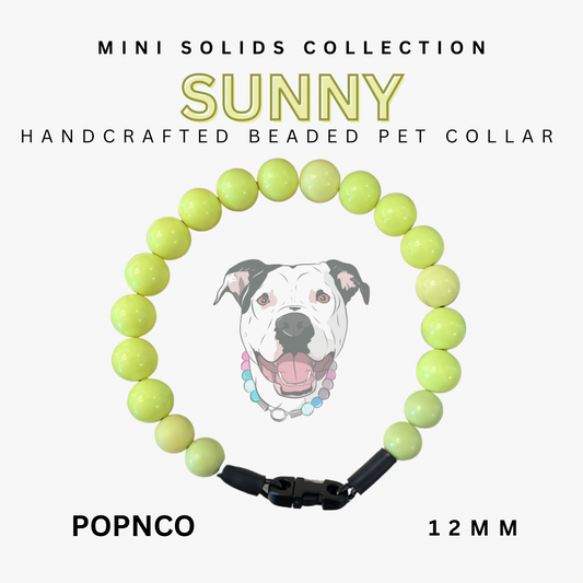 Handcrafted beaded pet collar with a dog illustration on a white background, labeled 'Sunny' from the Mini Solids Collection by POPNCO. POPNCO