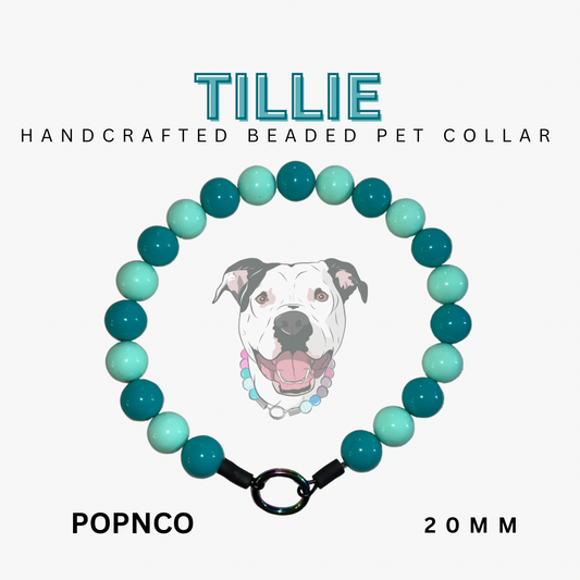 Handcrafted beaded pet collar by Tillie with a dog illustration on a white background