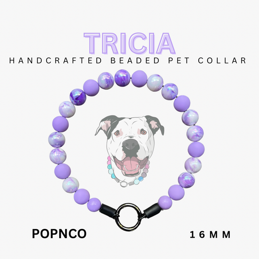 Mini TRICIA