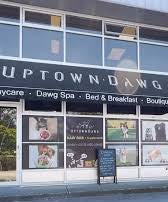 Uptown Dang restaurant exterior with large windows and visible branding.