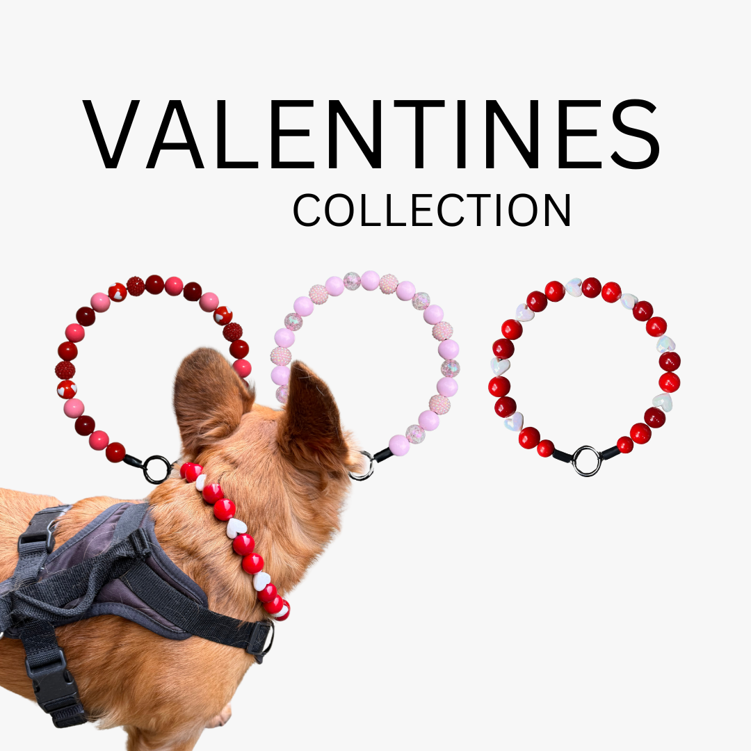 Dog wearing a beaded heart-shaped collar with 'Valentines Collection' text above.