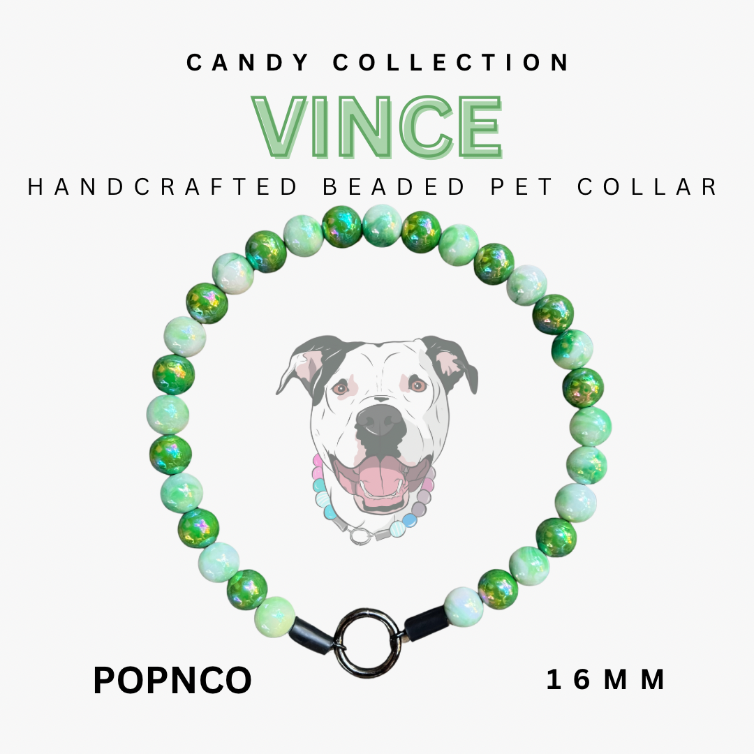 Handcrafted beaded pet collar with a dog illustration and product details on a white background