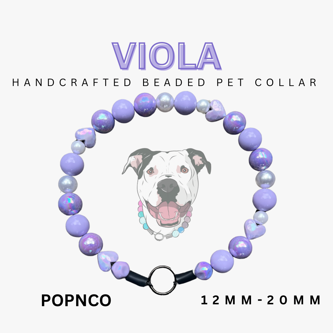 Handcrafted beaded pet collar with 'Viola' branding on a white background