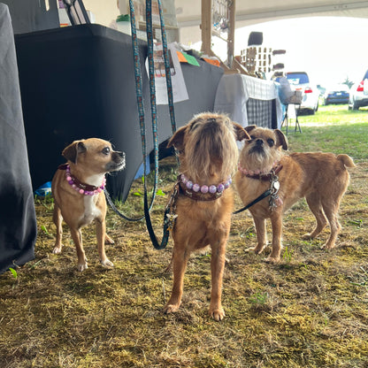 Three dogs on a glass table with a natural background