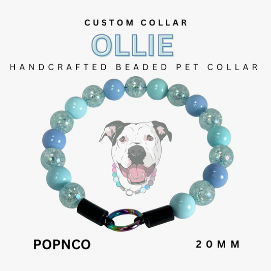 Handcrafted beaded pet collar with 'Ollie' branding and a dog illustration on a white background.
