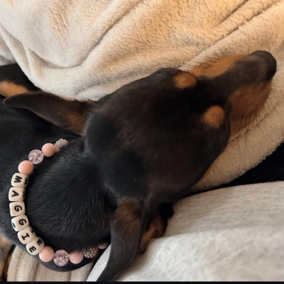 Dog wearing a pink beaded collar on a blanket