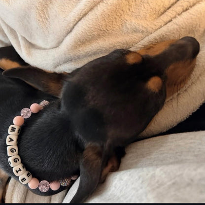 Dog wearing a pink beaded collar on a blanket