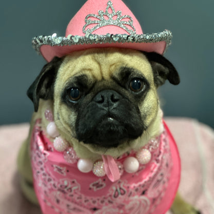 Pug in pink dress and tiara wearing the Pink Sugar pale pink beaded dog collar by POPNCO