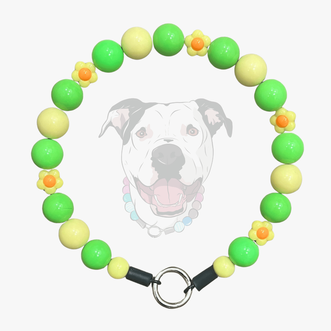Vern handcrafted beaded dog collar featuring bright green yellow and flower beads by POPNCO made in BC Canada