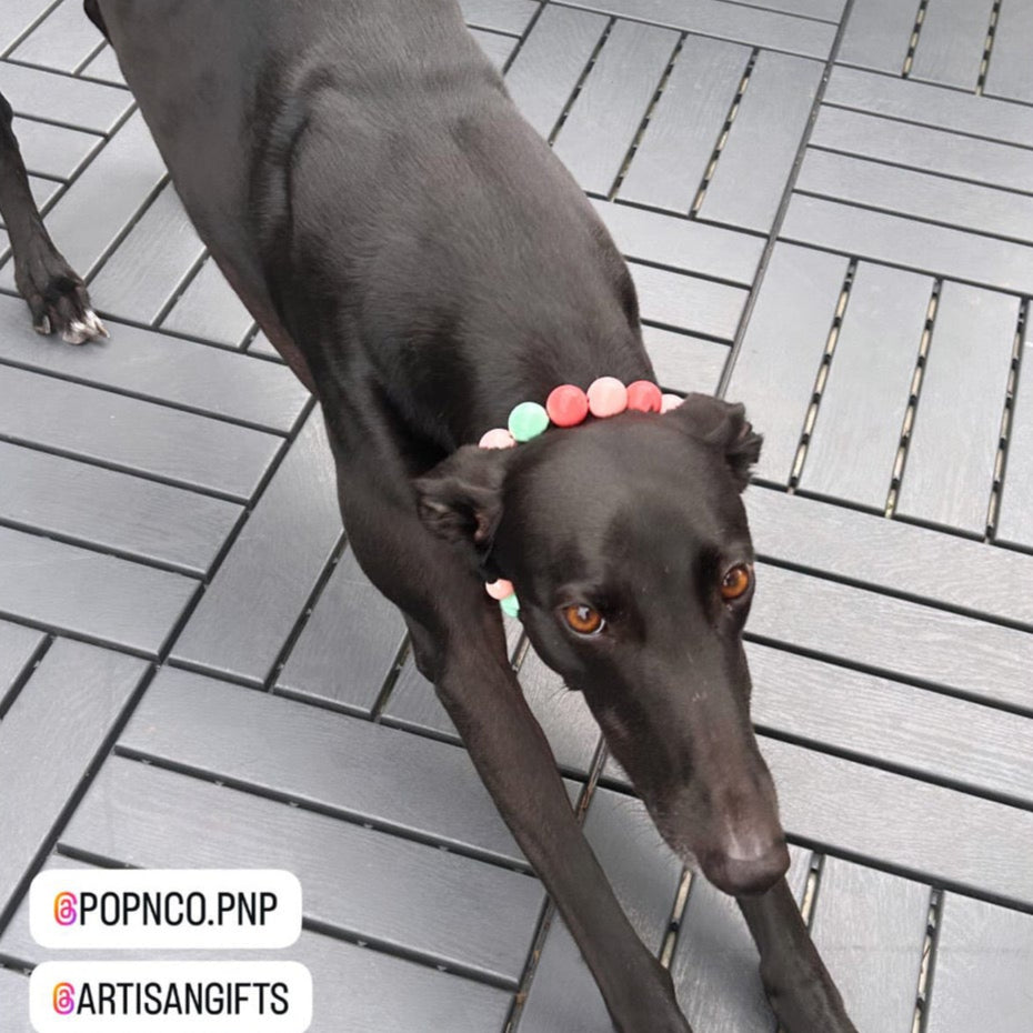 POPNCO Dolly Beaded Pet Collar. Pink, Coral and Green Solid Acrylic and Resin Beads on Aircraft Grade Stainless Steel Wire. Brown Dog on a tile like floor bowing while wearing The Dolly Beaded Pet Collar from POPNCO featuring alternating Pink, Coral and Light Green Acrylic Beads on aircraft grade stainless steel wire