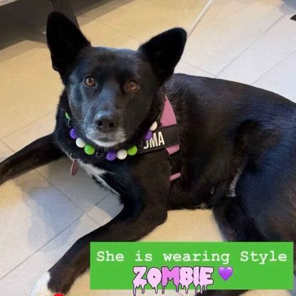 POPNCO Zombie Beaded Pet Collar from the Spooky Collection featuring alternating Black, White, Green and Purple acrylic beads.